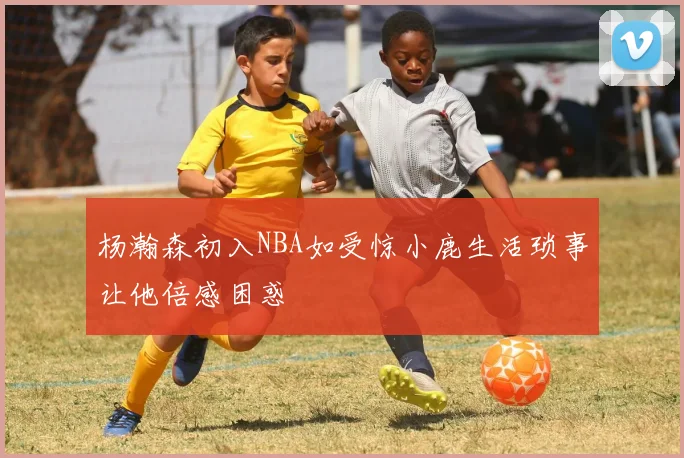 杨瀚森初入NBA如受惊小鹿生活琐事让他倍感困惑