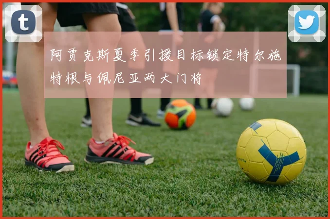 阿贾克斯夏季引援目标锁定特尔施特根与佩尼亚两大门将